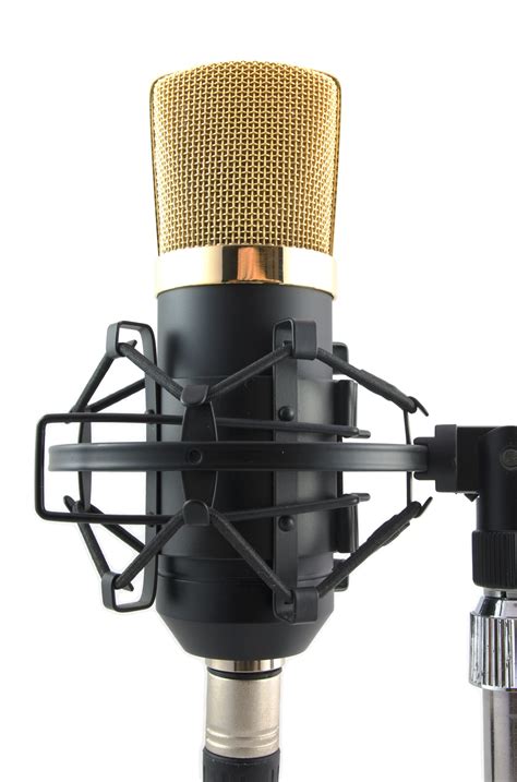 microphone in English .